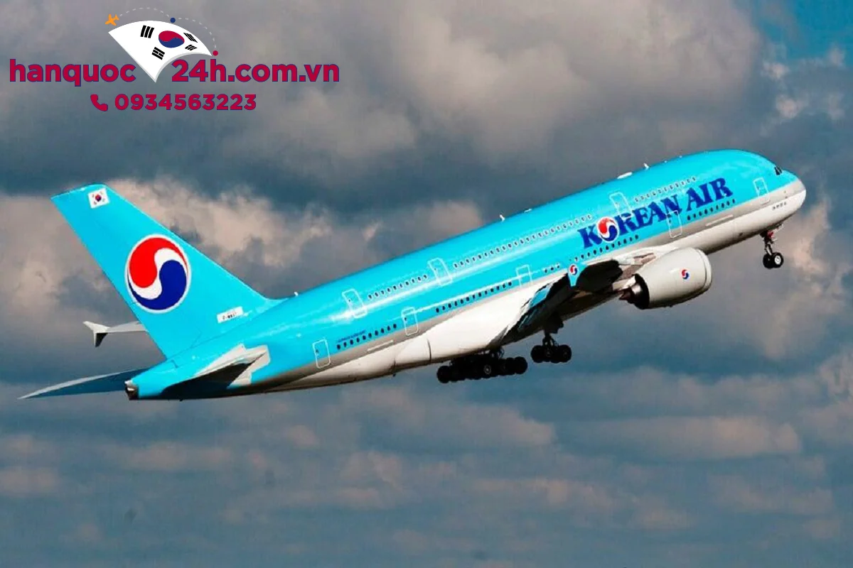 du-lich-mo-cua-tro-lai