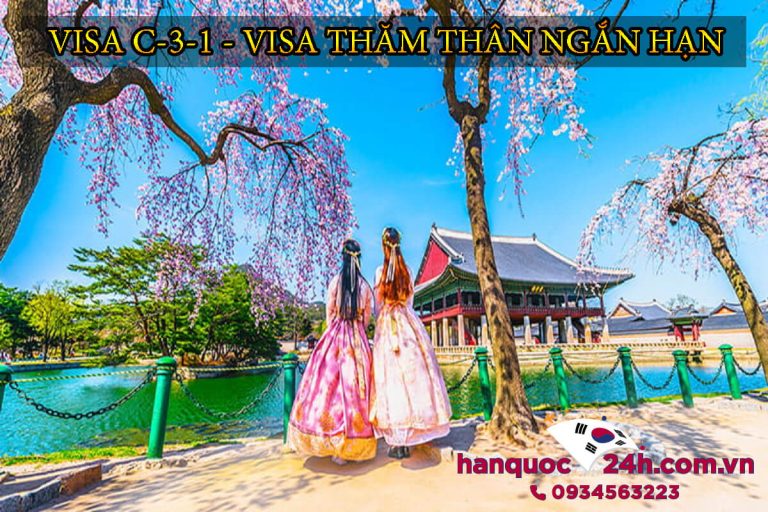 visa-c-3-1-han-quoc