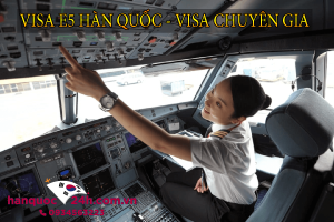Visa E5 Hàn Quốc – Visa chuyên gia