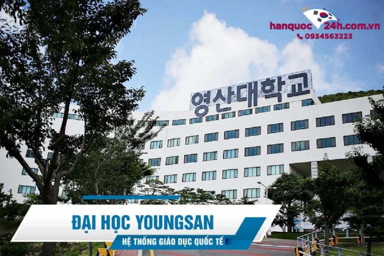 banner-dai-hoc-youngsan