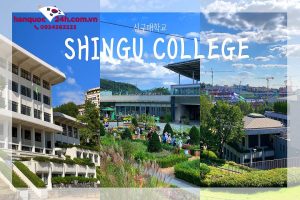 Trường Cao Đẳng Shingu Hàn Quốc