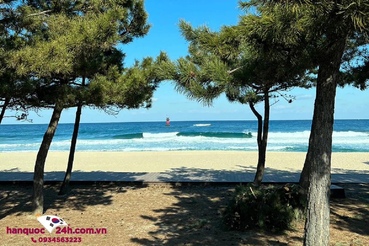 du-lich-han-quoc-thang-6