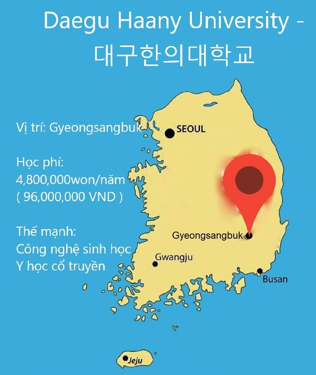 vi-tri-dia-ly-dai-hoc-daegu-hanny