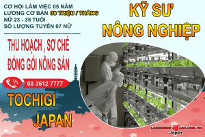 Kỹ Sư Nông Nghiệp Tochigi